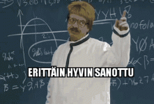 stukk-hyvin-sanottu.gif